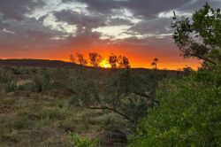 Namibia (69)